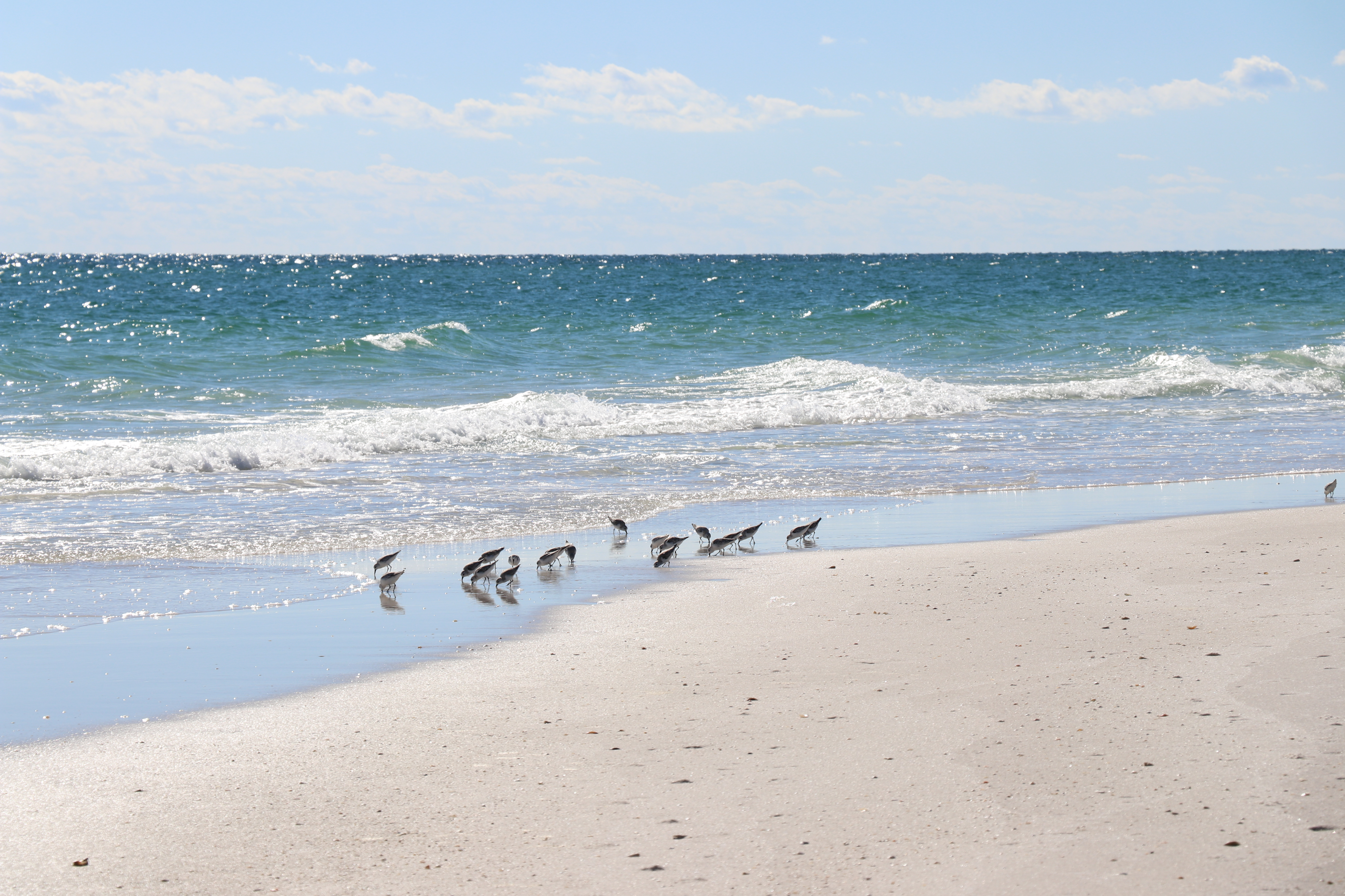 Vacation Image 6